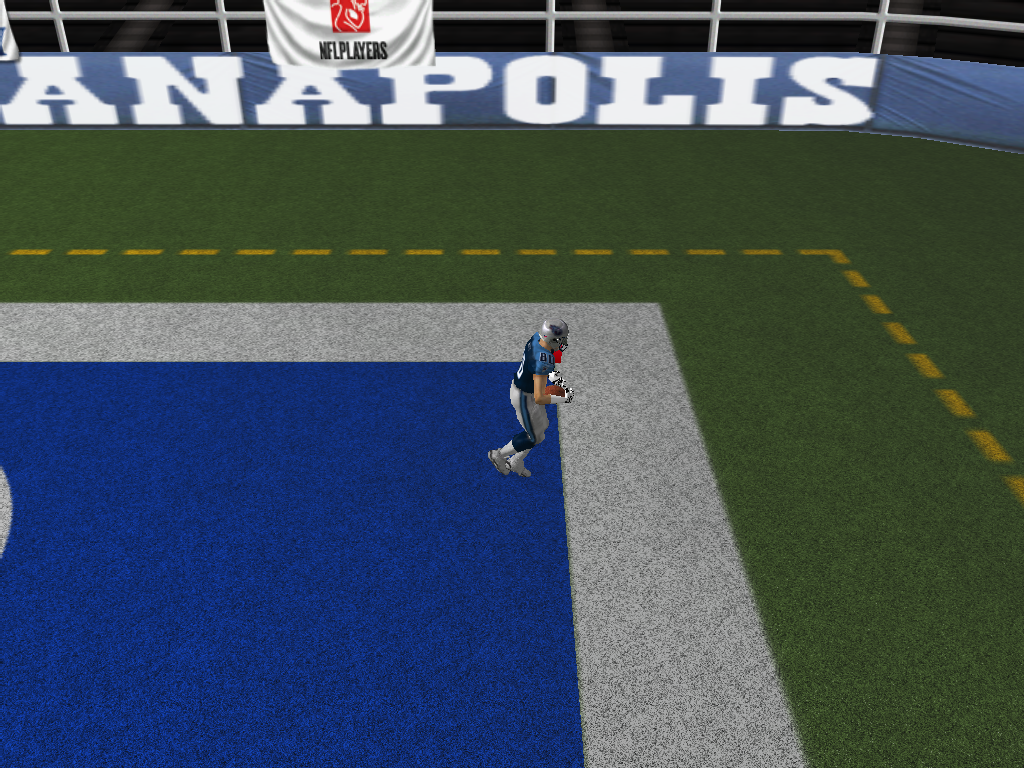 endzone or sideline style catch.bmp